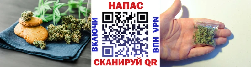 Canna-Cookies марихуана  ОМГ ОМГ как зайти  Ногинск 