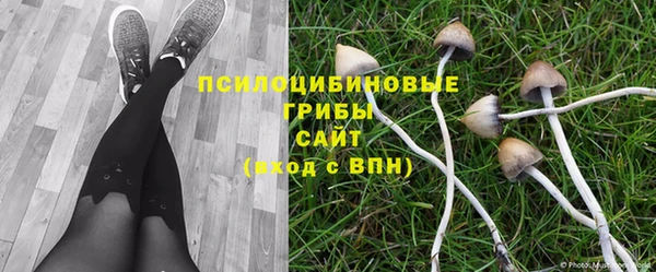а пвп мука Баксан