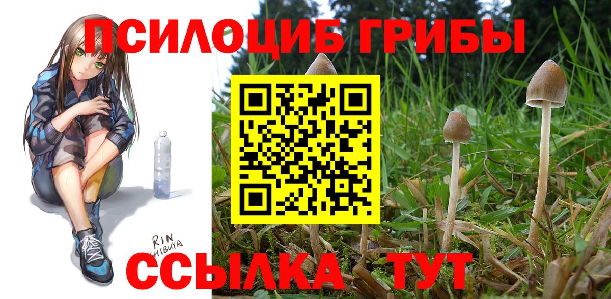 Псилоцибиновые грибы Magic Shrooms Ногинск