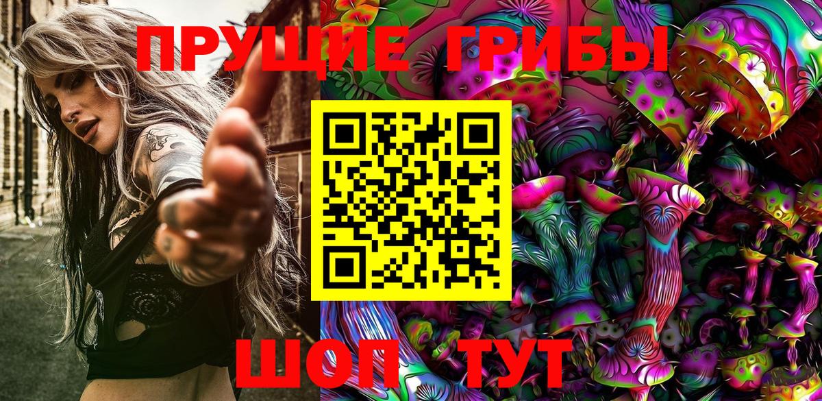 Галлюциногенные грибы GOLDEN TEACHER  Галлюциногенные грибы Cubensis  Ногинск  Вход с VPN 