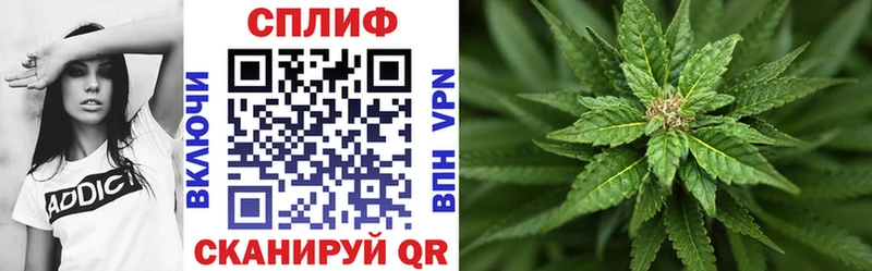 Бошки Шишки гибрид  Ногинск 